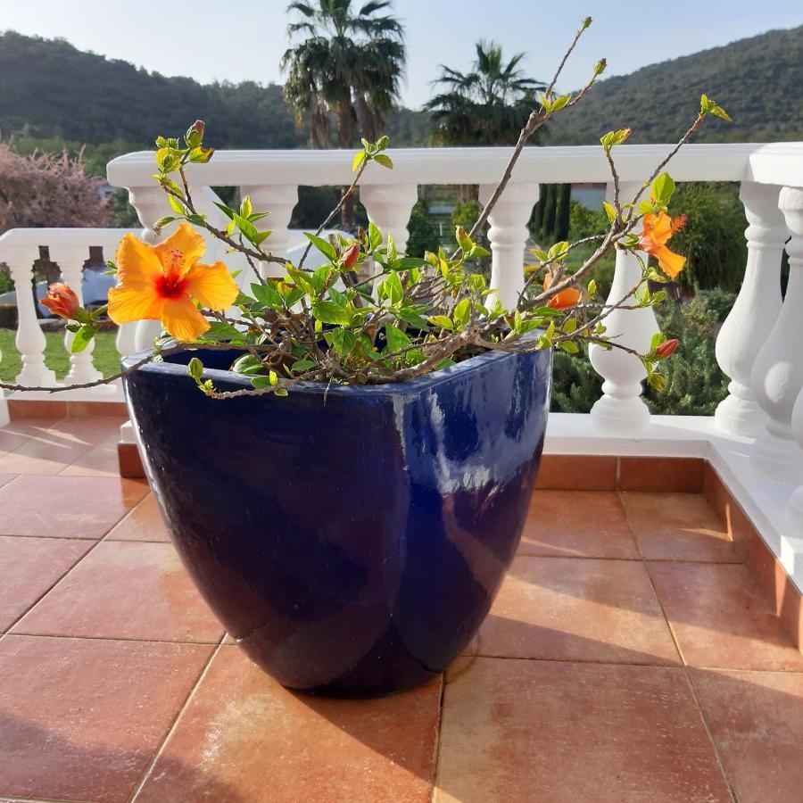 B&B Entrecolinas ปาแดร์น ภายนอก รูปภาพ